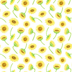 Sunflowers seamless pattern. Watercolor farm flowers illustration. Yellow flower heads isolated on white background for textile, wrapping, fabrics, wallpaper