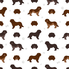 German spaniel seamless pattern. Different poses, coat colors set