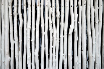 Fototapeta premium texture of bamboo