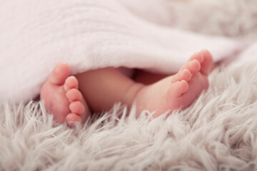 Close up of a baby's feet, wrapped in a soft blanket on fur