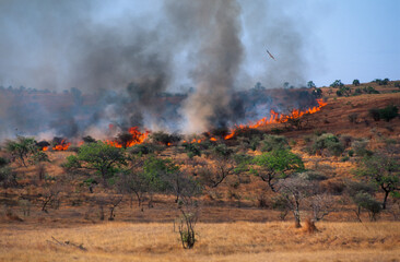 écobuage, feu de brousse, Majunga, Madagascar