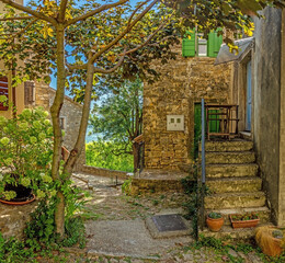 Picture of a romantic cobblestone street overgrown with trees and leaves in the medieval town of Motovun in central Istria during the day