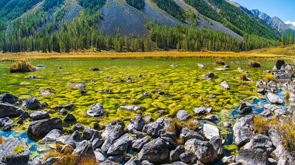 Panoramic glowing green natural background with a acid color swamp surface. Bright mountain scenery...