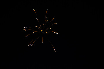 Sky shot firework in the sky during night against black background. Fireworks during the night of Diwali. Diwali background