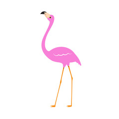 Flamingo isolated on white background. Flat flamingo vector icon for web site, poster, placard, backdrop and wallpaper. Flamingo vector illustration