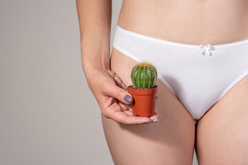 Conceptual photo of depilation or hair removal. Bikini area in white underwear closeup and a green cactus in the hands of the girl.