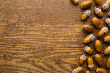 Fresh acorns on dark brown wooden table background. Closeup. Empty place for inspirational text,...