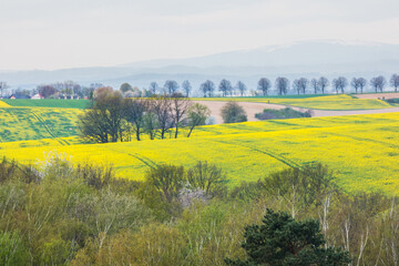 sunset over the field and mountains