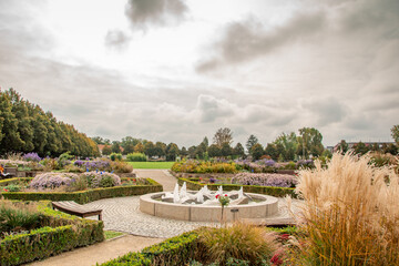 beautiful autumn photos in a park in the city of ingolstadt