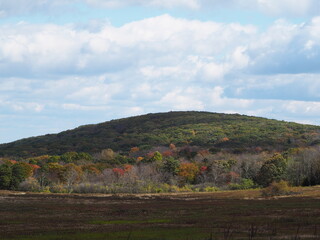 fall foliage in mountains