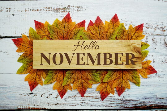 Hello November text on wooden planks decorated with maple leaves on wooden background
