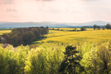 Fototapeta premium sunset over the field and mountains