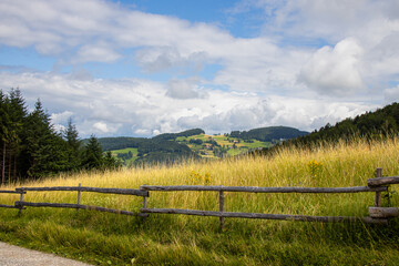 Fototapeta premium Schwarzwald, St_Ulrich_6158