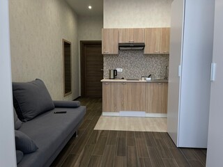 Small kitchen studio with sofa