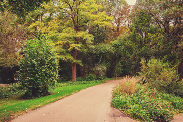 beautiful autumn photos in sprud park in bavaria ingolstadt