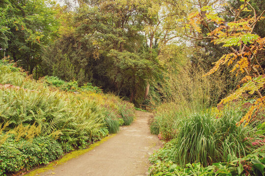 beautiful autumn photos in sprud park in bavaria ingolstadt
