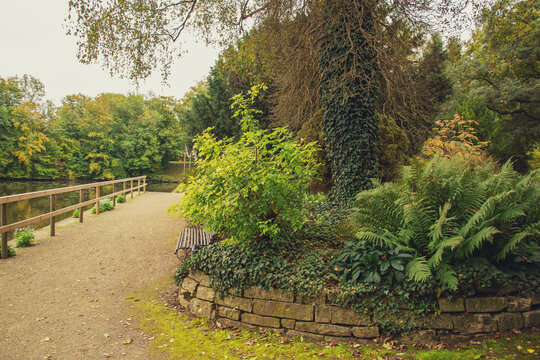 beautiful autumn photos in sprud park in bavaria ingolstadt