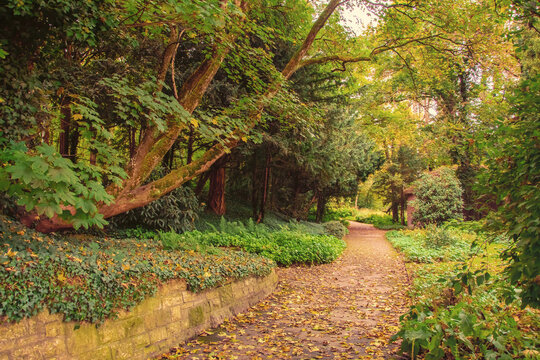 beautiful autumn photos in sprud park in bavaria ingolstadt