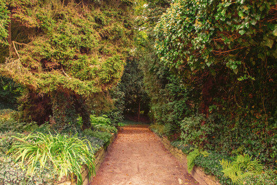 beautiful autumn photos in sprud park in bavaria ingolstadt