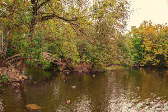 beautiful autumn photos in sprud park in bavaria ingolstadt