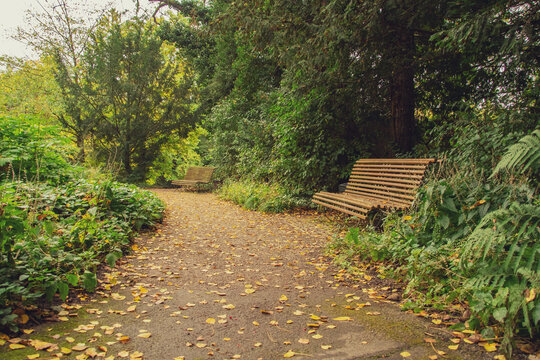 beautiful autumn photos in sprud park in bavaria ingolstadt