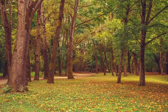 beautiful autumn photos in sprud park in bavaria ingolstadt