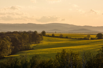 sunset over the field and mountains