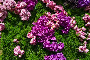 Pink and purple roses on the green background
