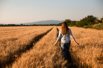 Charming woman enjoying moment, walking in grain field