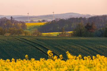 sunset over the field and mountains