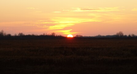 sunset over the field