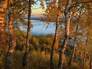 Autumn landscape of the central strip of Russia on a foggy morning.