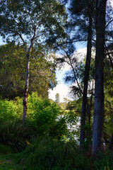 A view in Centennial Park in Sydney, Australia