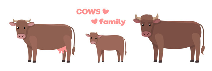 Vector illustrations of cows family isolated on a white background in cartoon style.