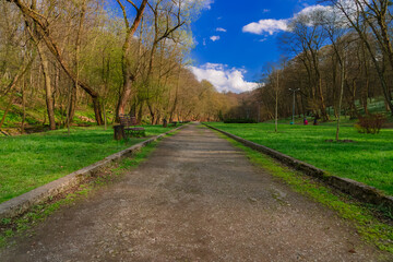 Fototapeta na wymiar March springtime park green zone morning walking outdoor environment space with road blue sky background