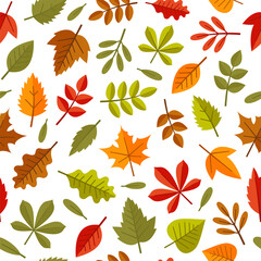 Obraz premium Autumn Leaves Seamless Pattern on White Background. Vector