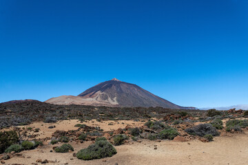El Teide National Park with the Teide volcano in the background on a sunny day. Canary Islands, Tenerife,