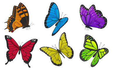 Set of colorful butterflies. Illustration.

