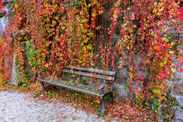 benches in beautiful colorful hanging garden of Palace in Lillafüred Hungary autumn fall season in Bükk National Park