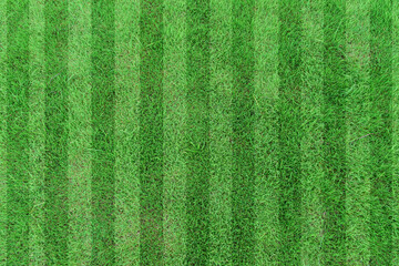 Top view stripe grass soccer field. Green lawn pattern background