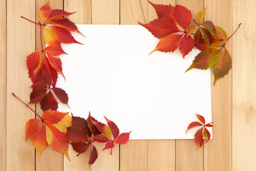 Autumn frame of leaves on a white sheet of paper. Autumn theme mockup. Red leaves on a background of wooden boards.