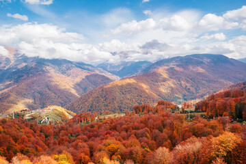 Top view of colorful trees in the Caucasian mountains.