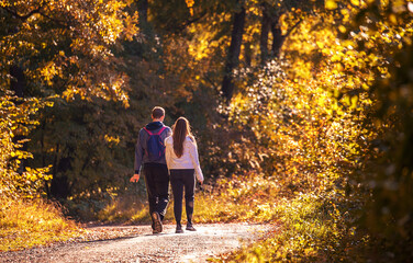 Young couple walking in the autumn forest