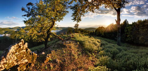 Green mountain landscape with sun  - panorama, Slovakia