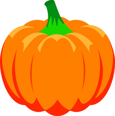 Orange pumpkin illustration isolated on white background.