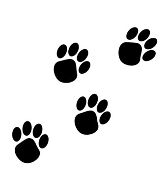 classic animal paw prints