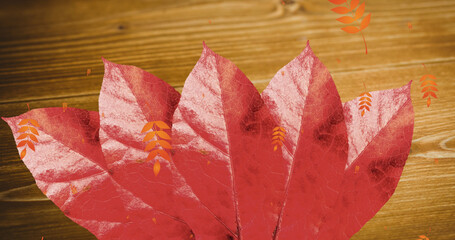 Multiple leaves pattern icons falling over autumn maple leaf against wooden background