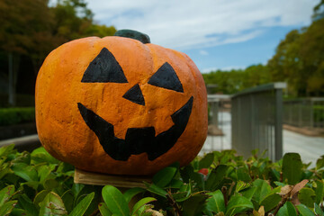 昼のハロウィン