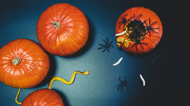 Halloween pumpkins on black background with spiders and worms