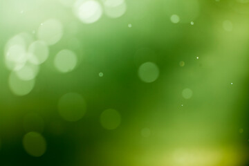 Green lights bokeh background.